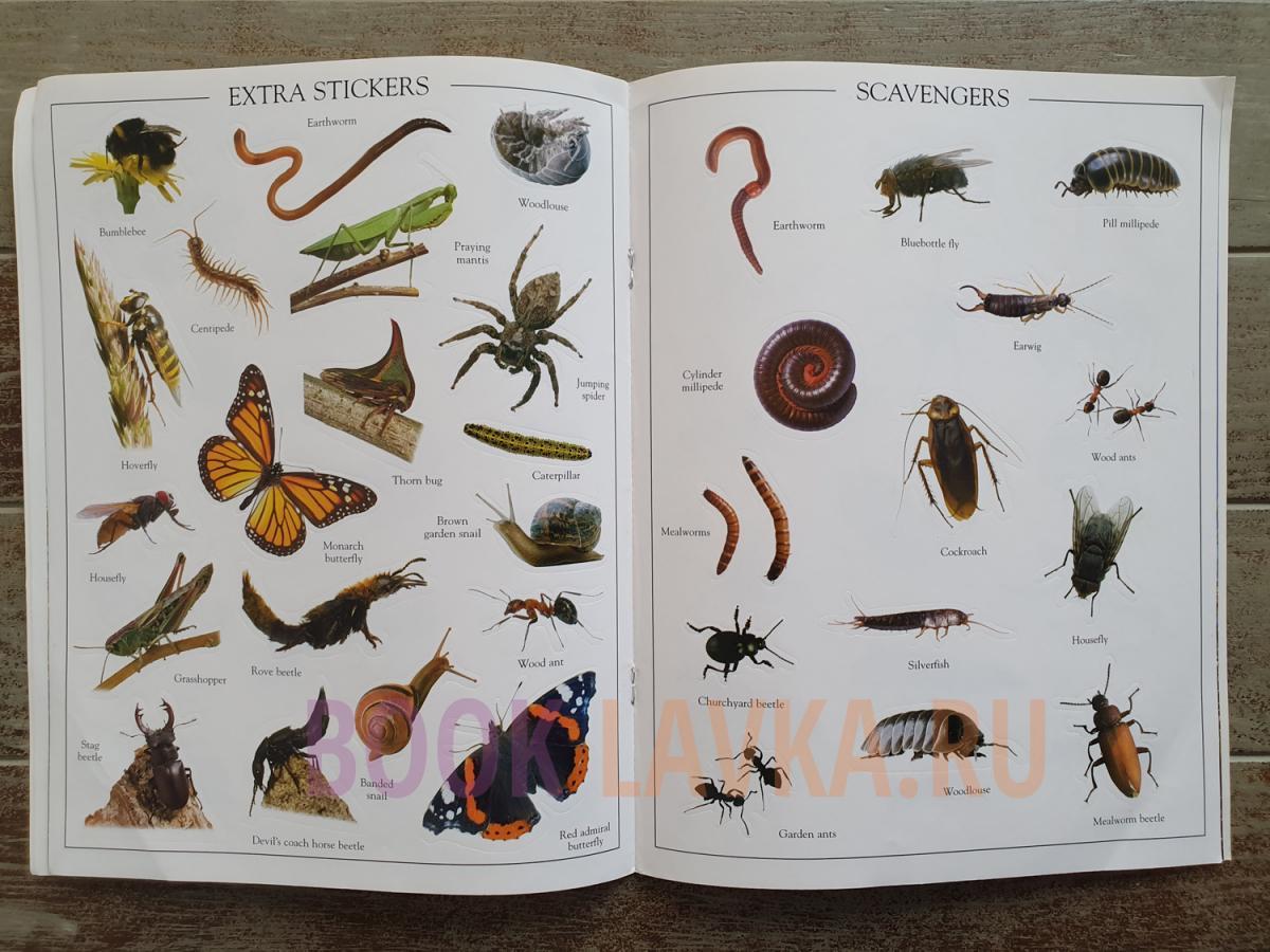 RHS Garden Bugs Ultimate Sticker Book – купить в интернет-магазине ...