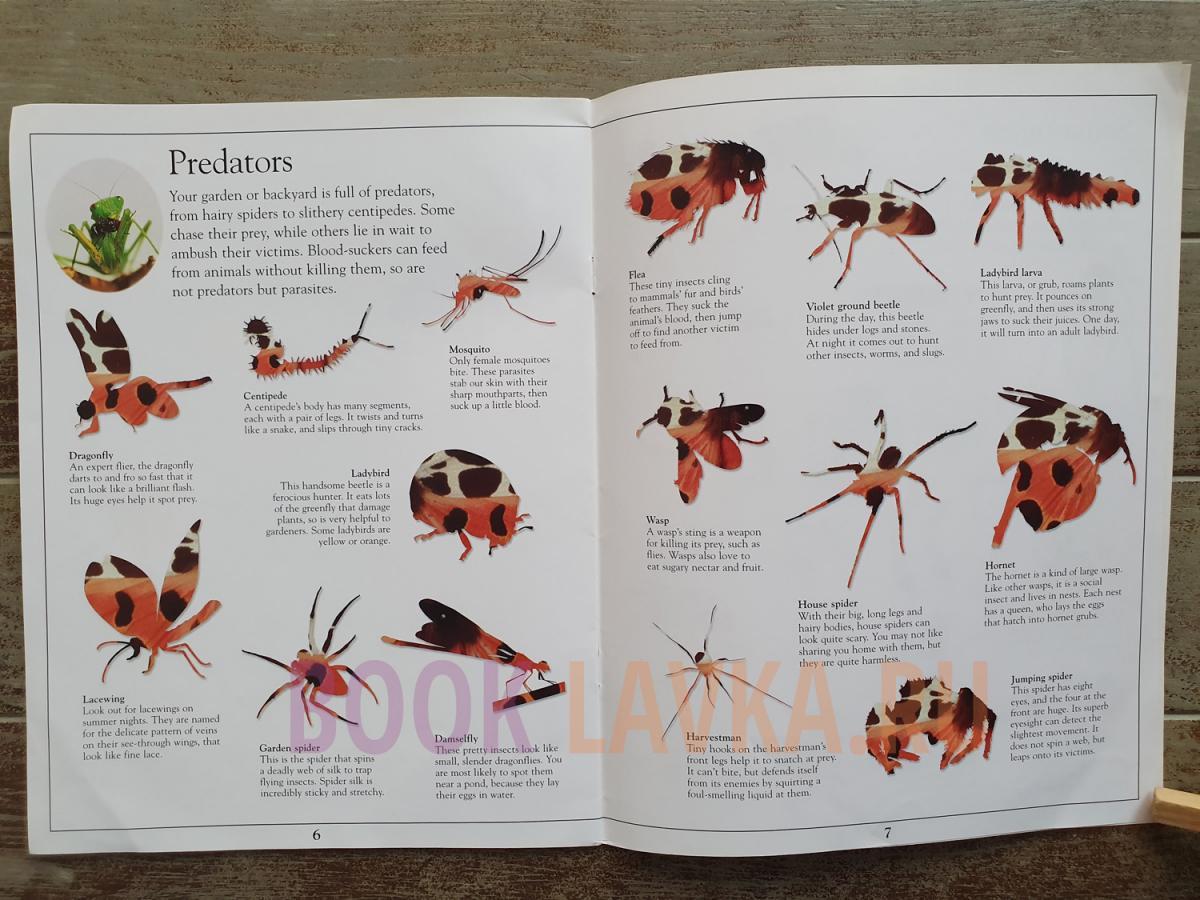 RHS Garden Bugs Ultimate Sticker Book – купить в интернет-магазине ...