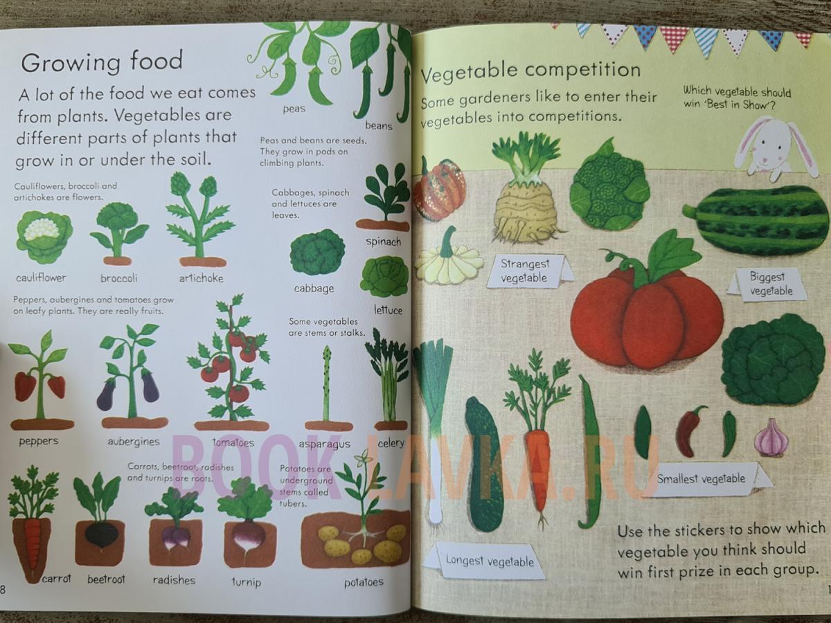 Usborne my first book about how things grow. Usborne my first book about our World. First book ru