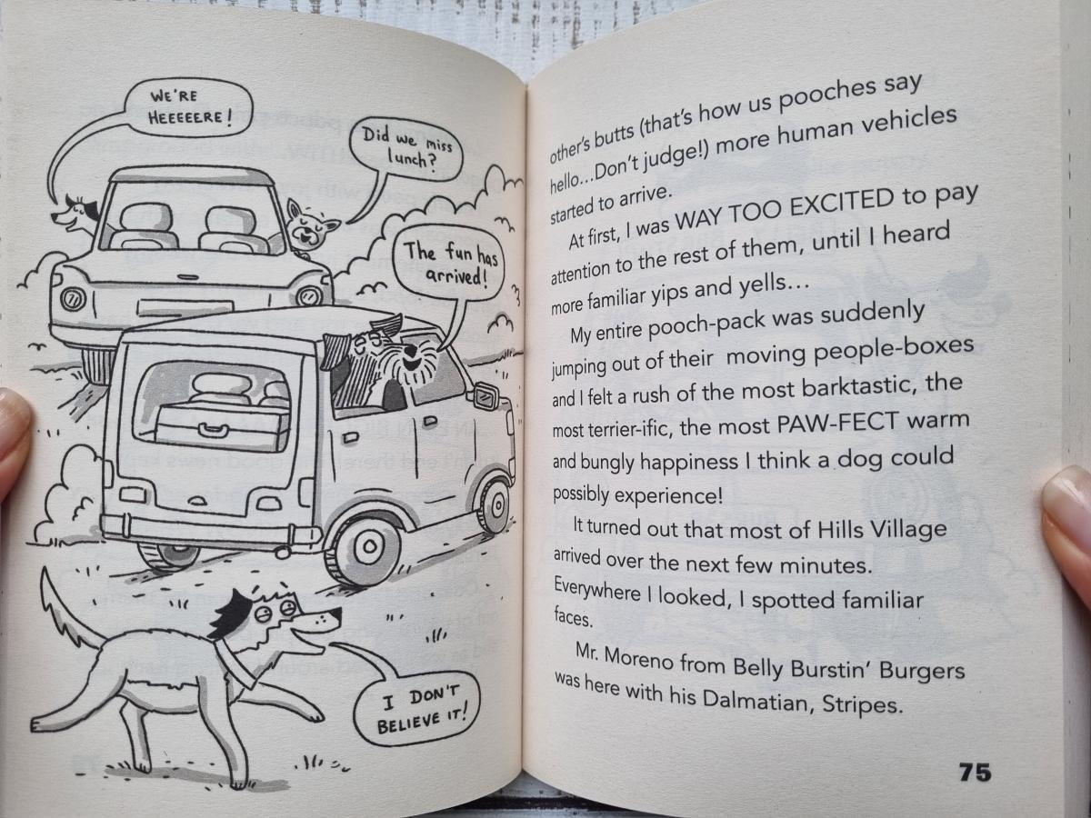 Dog Diaries Camping Chaos Booklavka dog-diaries-camping-chaos-booklavka