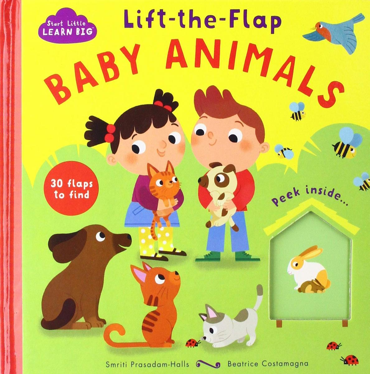 Frederick a Lift-the-Flap book. Zoo: Lift the Flap Board book. Baby's first animals купить книгу. Lift the Flap Nursery Rhymes.