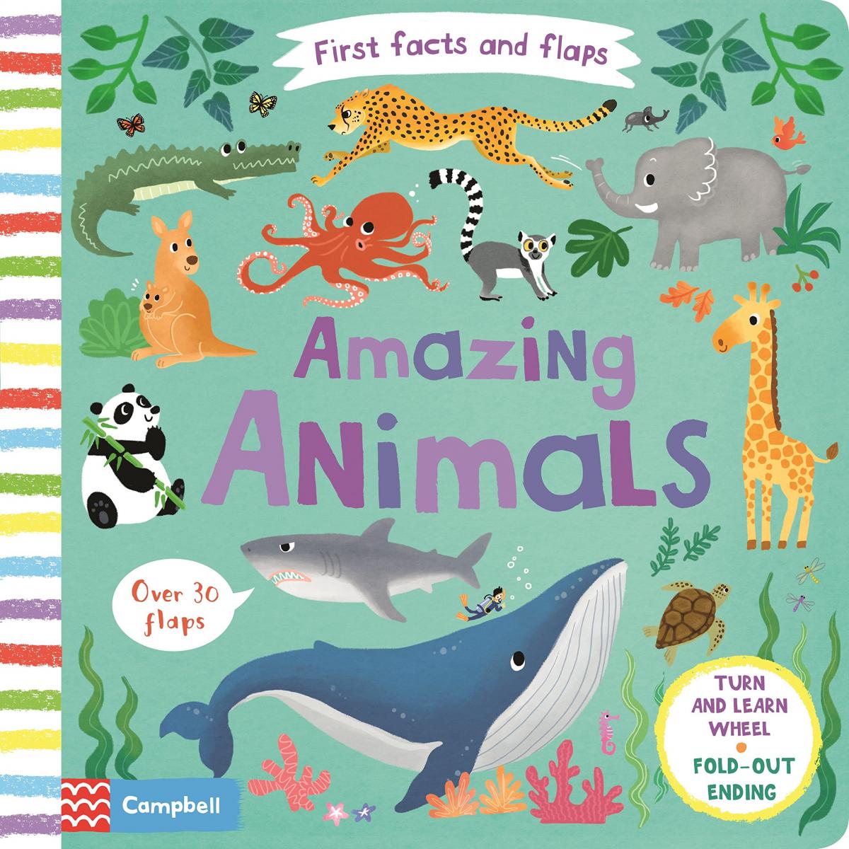 Обложка книги с животными. The animals обложка. Обложка my animals картинка. First book ru