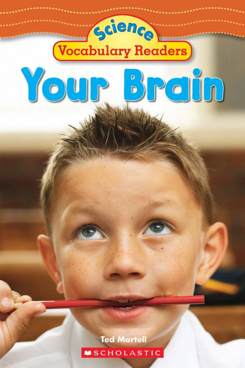 Science Vocabulary Readers Your Brain Science vocabulary readers your brain