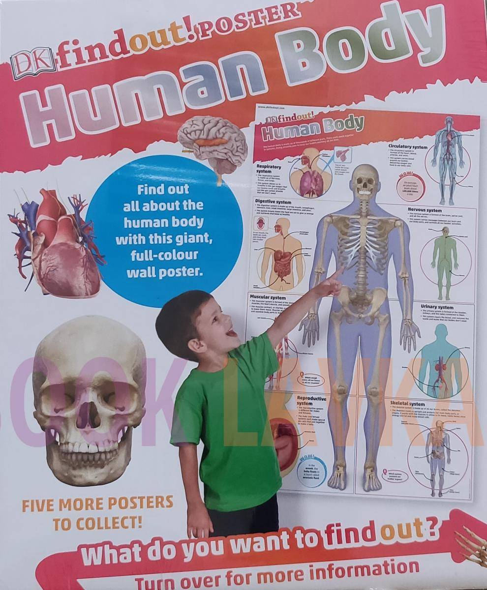 Find Out Poster Human Body Booklavka 