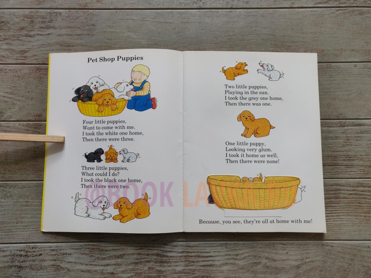 Lift-the-Flap Animal Book – купить в интернет-магазине Booklavka (Буклавка)