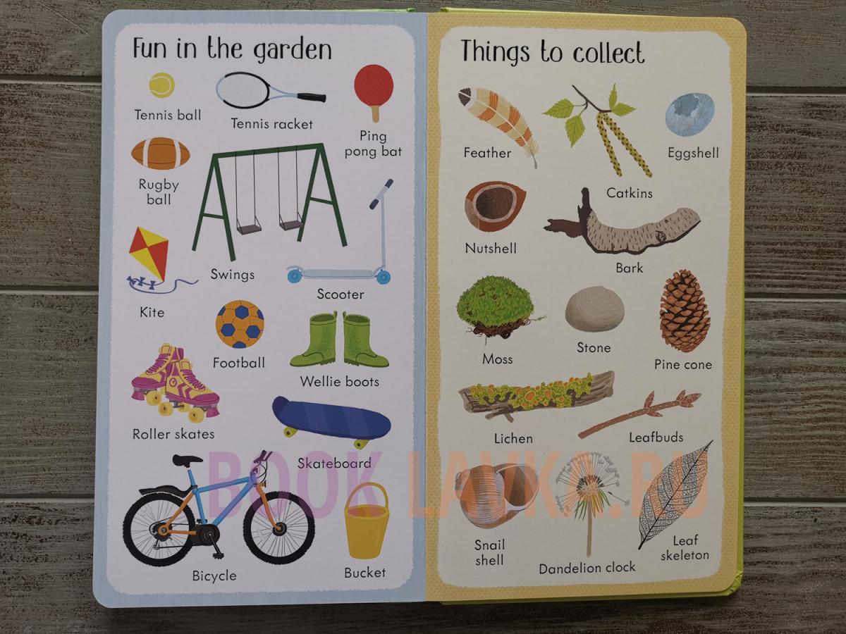 Do you collect things. Hannah "199 things in nature". Hannah Watson "Flowers". Usborne 199 things in nature book. Things for collection.