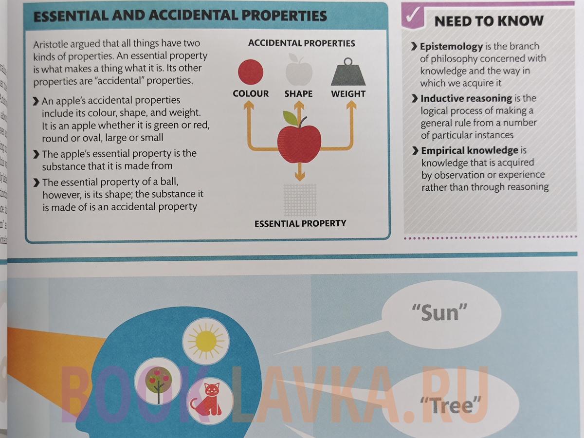 How Philosophy Works The Concepts Visually Explained 