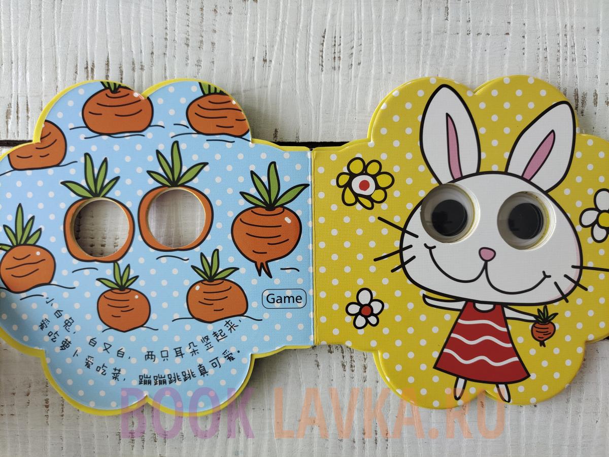 Chinese book CHAMOMILE Booklavka (Буклавка)