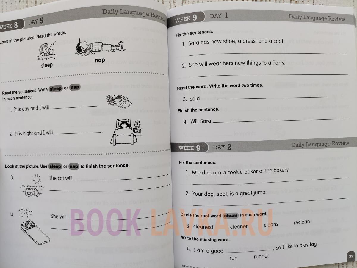 Daily Language Review, Grade 1 Teacher Book – купить в интернет ...