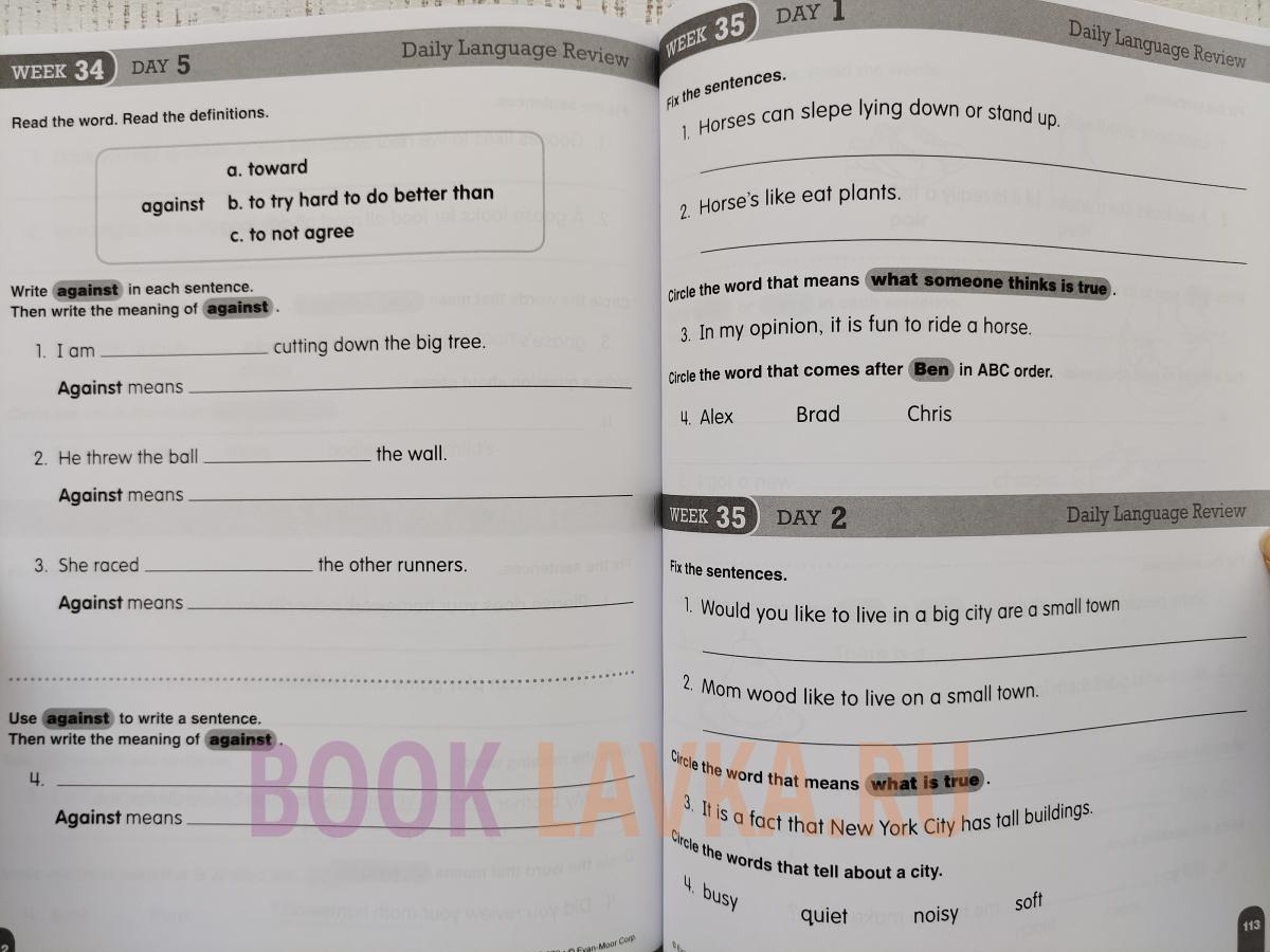 Daily Language Review, Grade 1 Teacher Book – купить в интернет ...