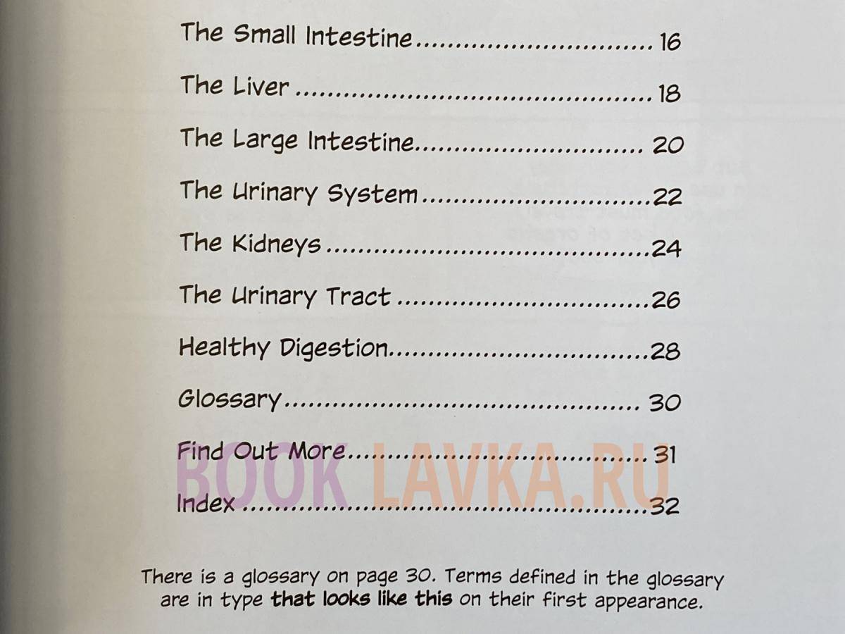 Building Blocks of Science the Digestive and Urinary Systems – купить в ...