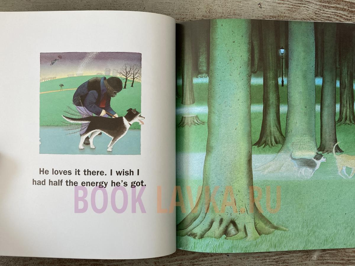 Voices in the Park – купить в интернет-магазине Booklavka (Буклавка)